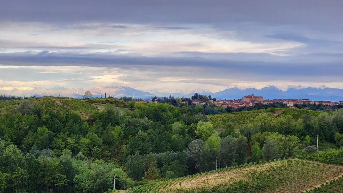 Buta - Vino, Colline E Tramonti Mozzafiato Apartment Castagnole Monferrato Екстериор снимка